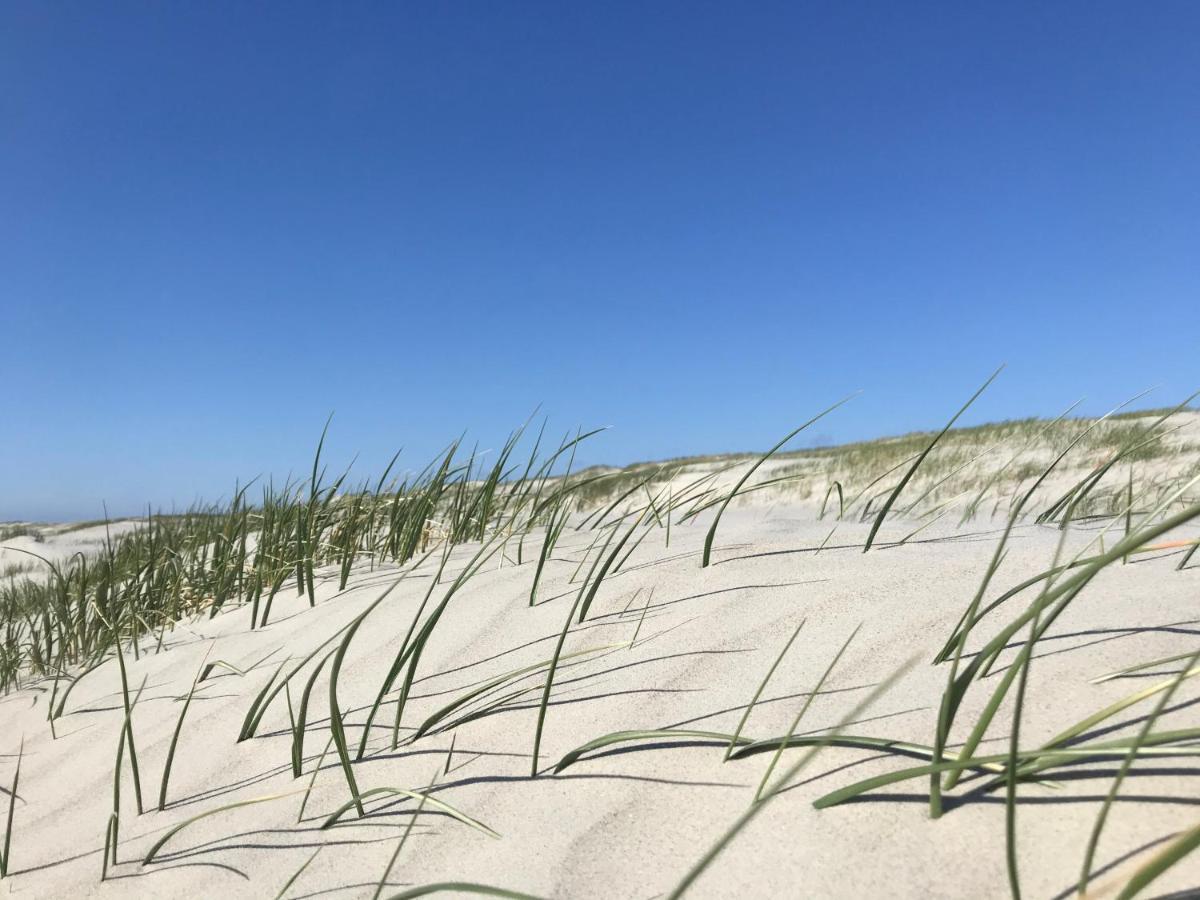 Ferienhaus-Nordseebirke Süderdeich Kültér fotó